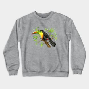 A watercolor drawing of a keel-billed toucan Crewneck Sweatshirt